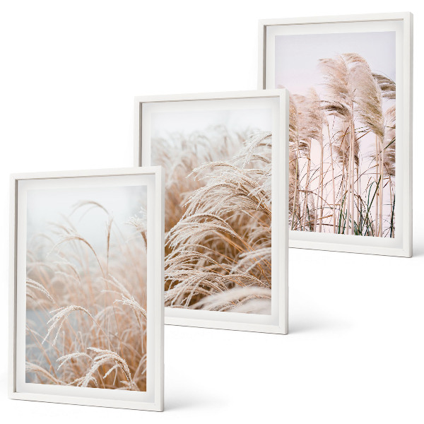 Set of 3 framed wall art pieces Fields of grass in brown and beige