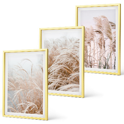 Set of 3 framed wall art pieces Fields of grass in brown and beige