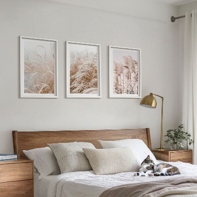 Set of 3 framed wall art pieces Fields of grass in brown and beige