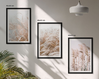 Set of 3 framed wall art pieces Fields of grass in brown and beige