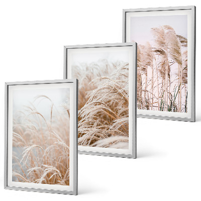 Set of 3 framed wall art pieces Fields of grass in brown and beige