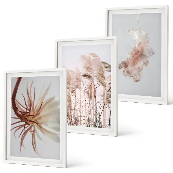 Wall art set grass flowers on a light background