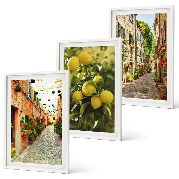 Streets with lemon flowers wall art set of 3 framed pieces