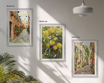 Set of 3 framed wall art pieces Streets with lemon flowers in the background