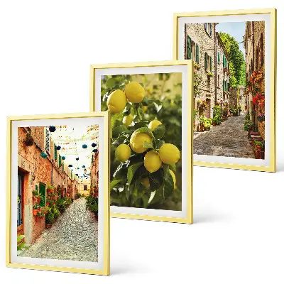 Streets with lemon flowers wall art set of 3 framed pieces