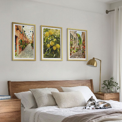 Set of 3 framed wall art pieces Streets with lemon flowers in the background