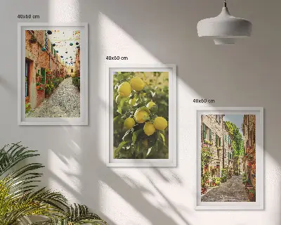 Streets with lemon flowers wall art set of 3 framed pieces