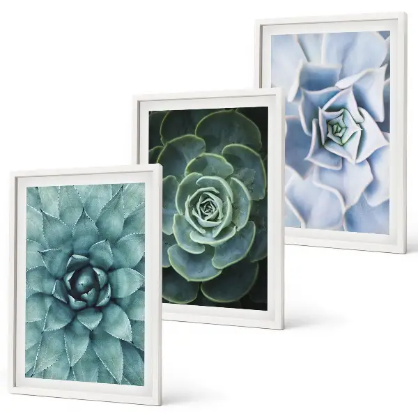 Set of 3 framed wall art pieces featuring succulent plants in green and turquoise