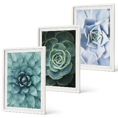 Set of 3 framed wall art pieces featuring succulent plants in green and turquoise