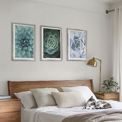 Set of 3 framed wall art pieces Succulent plants green turquoise