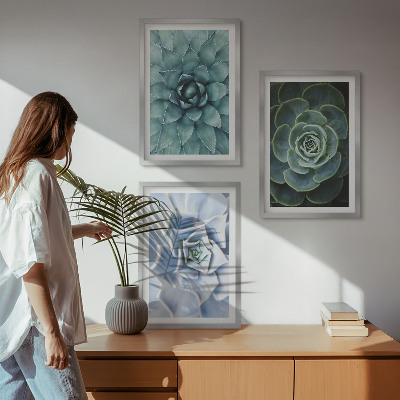 Set of 3 framed wall art pieces Succulent plants green turquoise