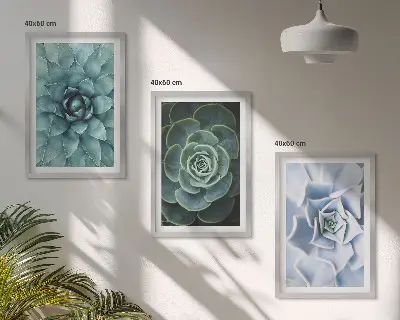 Set of 3 framed wall art pieces featuring succulent plants in green and turquoise