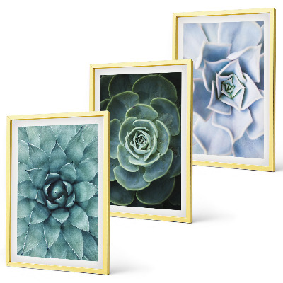 Set of 3 framed wall art pieces Succulent plants green turquoise