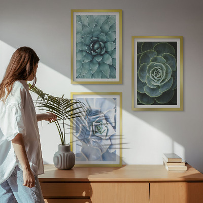 Set of 3 framed wall art pieces Succulent plants green turquoise