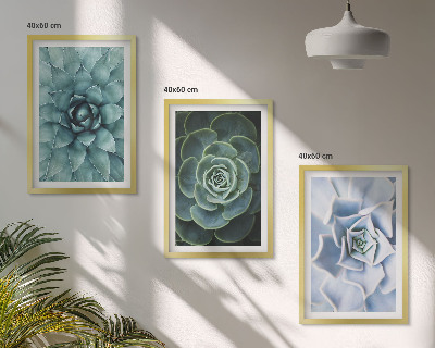 Set of 3 framed wall art pieces Succulent plants green turquoise