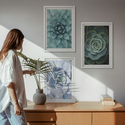 Set of 3 framed wall art pieces Succulent plants green turquoise