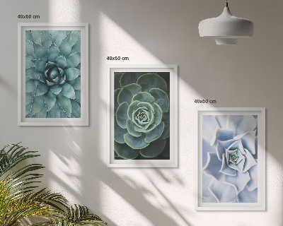 Set of 3 framed wall art pieces Succulent plants green turquoise