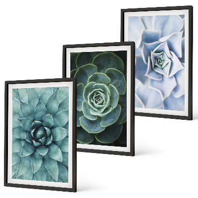 Set of 3 framed wall art pieces Succulent plants green turquoise