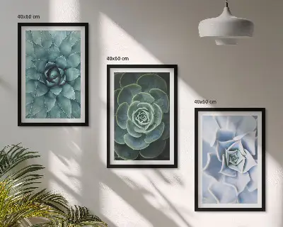 Set of 3 framed wall art pieces featuring succulent plants in green and turquoise