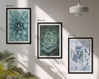 Set of 3 framed wall art pieces Succulent plants green turquoise