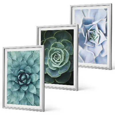 Set of 3 framed wall art pieces featuring succulent plants in green and turquoise