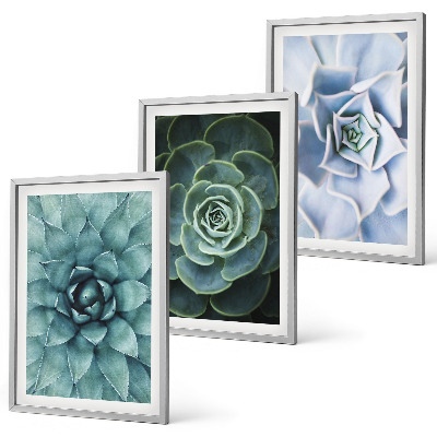Set of 3 framed wall art pieces Succulent plants green turquoise