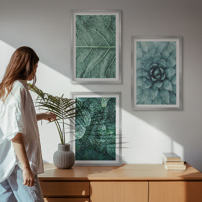 Wall art set Close-up of plant leaves
