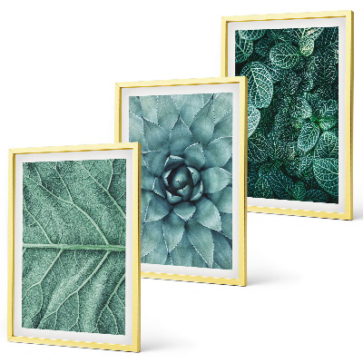 Wall art set Close-up of plant leaves