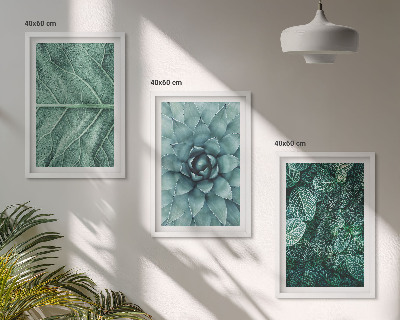 Wall art set Close-up of plant leaves