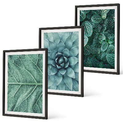 Wall art set Close-up of plant leaves
