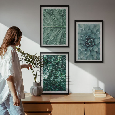 Wall art set Close-up of plant leaves
