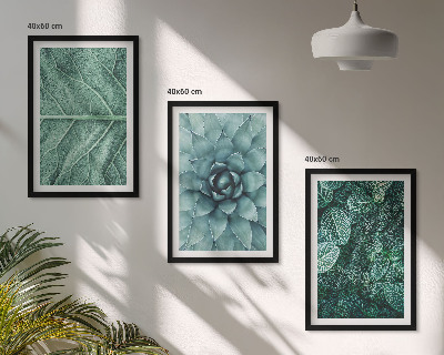 Wall art set Close-up of plant leaves
