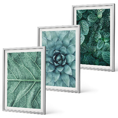 Wall art set Close-up of plant leaves