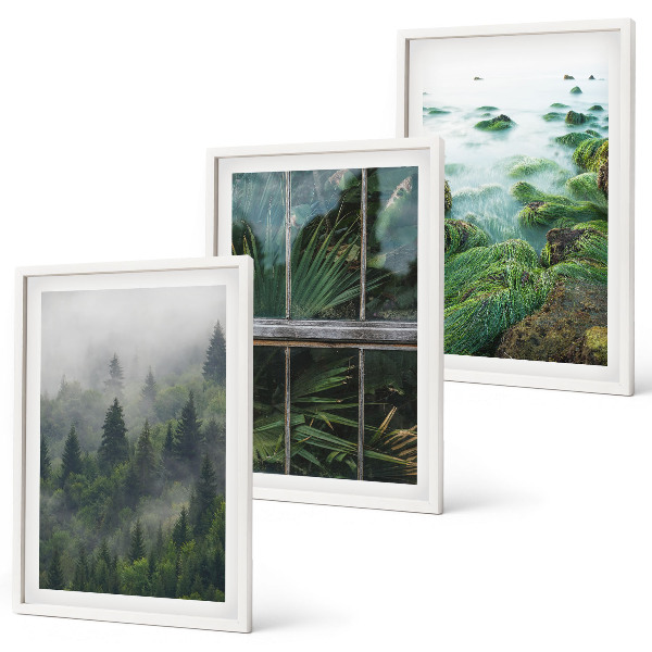 Three-piece wall art piece Forest fog river bank greenhouse