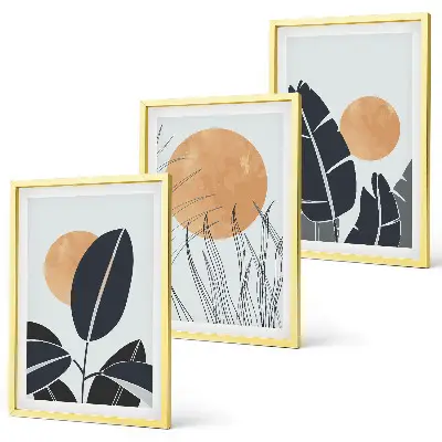 Set of 3 framed wall art pieces minimalist plant pattern and sun print design