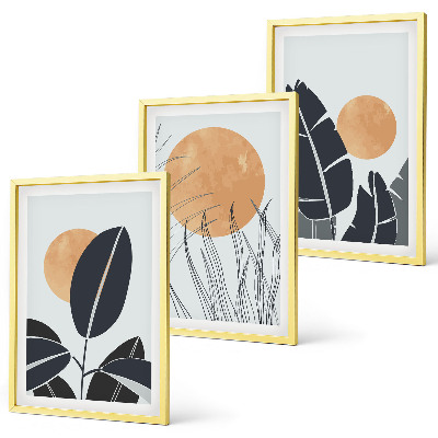 Set of 3 framed wall art pieces Plant patterns large suns minimalist