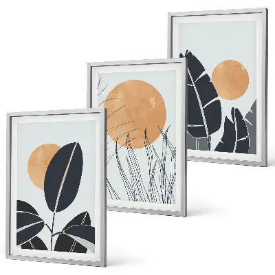 Set of 3 framed wall art pieces minimalist plant pattern and sun print design