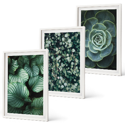 Wall art set Green leaves succulents style