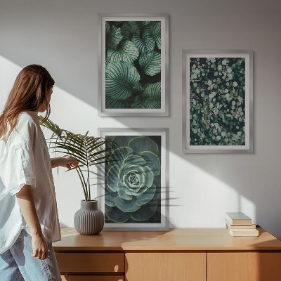 Wall art set Green leaves succulents style