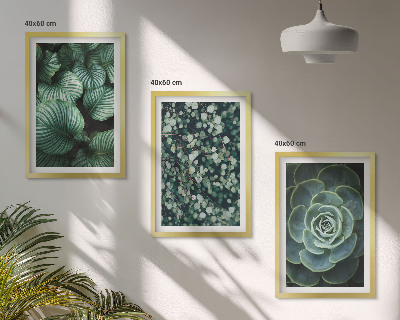 Wall art set Green leaves succulents style