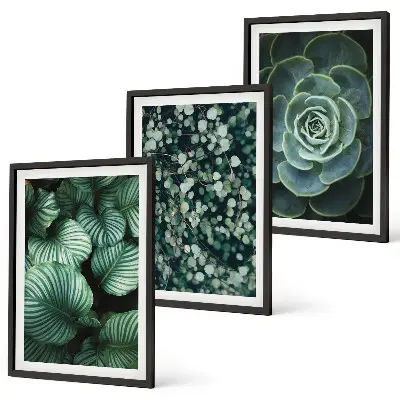 Wall art set green leaves succulent style