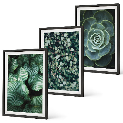 Wall art set Green leaves succulents style