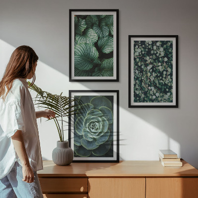 Wall art set Green leaves succulents style