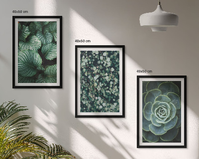 Wall art set Green leaves succulents style