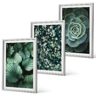 Wall art set Green leaves succulents style