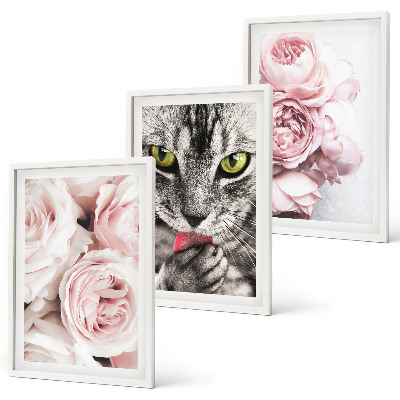 Set of 3 framed wall art pieces Cat in pink flowers