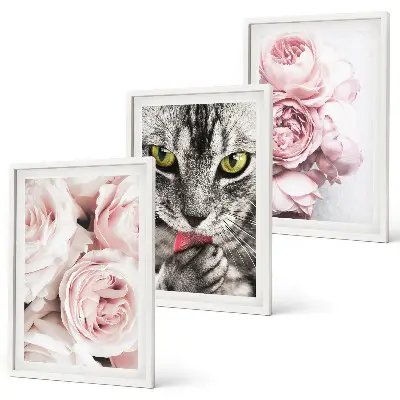 Cat in pink flowers framed wall art set of 3 pieces