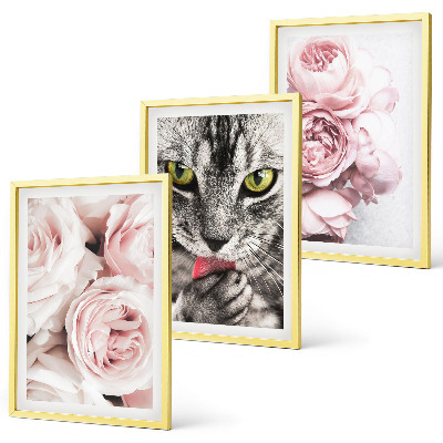 Set of 3 framed wall art pieces Cat in pink flowers