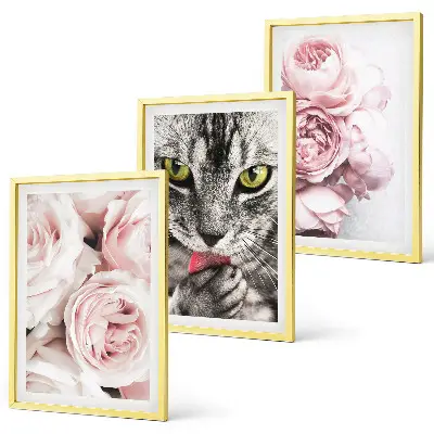 Cat in pink flowers framed wall art set of 3 pieces