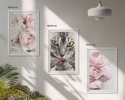 Set of 3 framed wall art pieces Cat in pink flowers